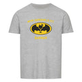 Image for color: sport grey