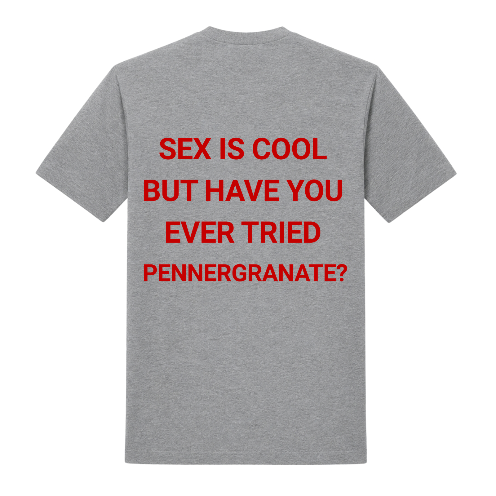 Sex is Cool-T-Shirt - Grey Melange