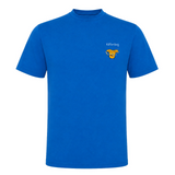 Royal Blue 241