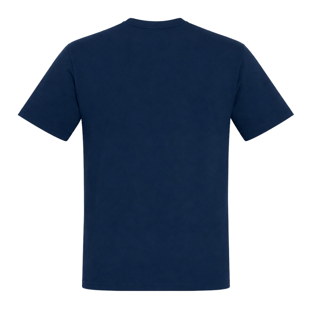 Steuerhinterziehung - French Navy - Rueckseite