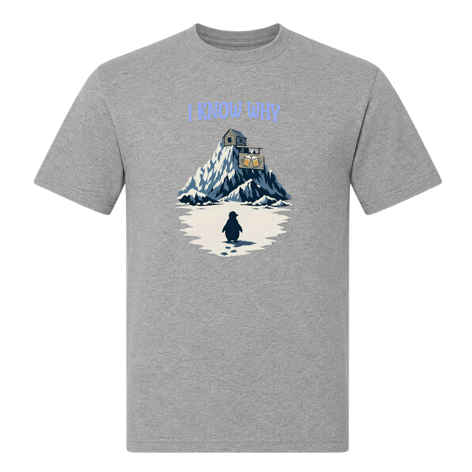I Know Why - T-Shirt - Grey Melange