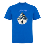 Royal Blue 241